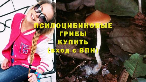 ешки Алексин