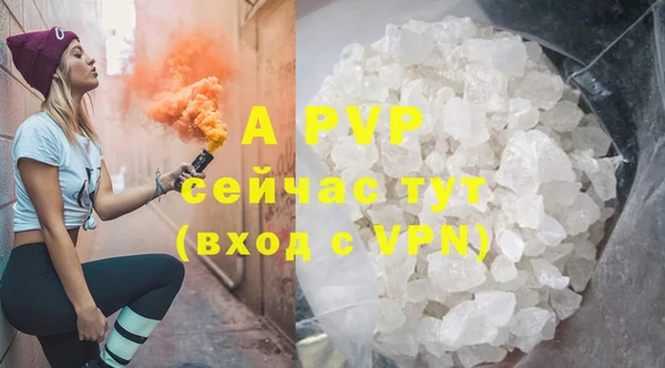 ешки Алексин