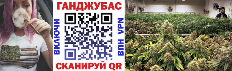 Конопля сатива Карабаш